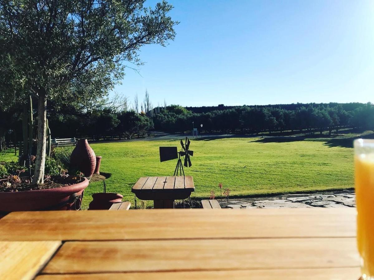 הוילה בופורט ווסט Olive Grove Guest Farm מראה חיצוני תמונה