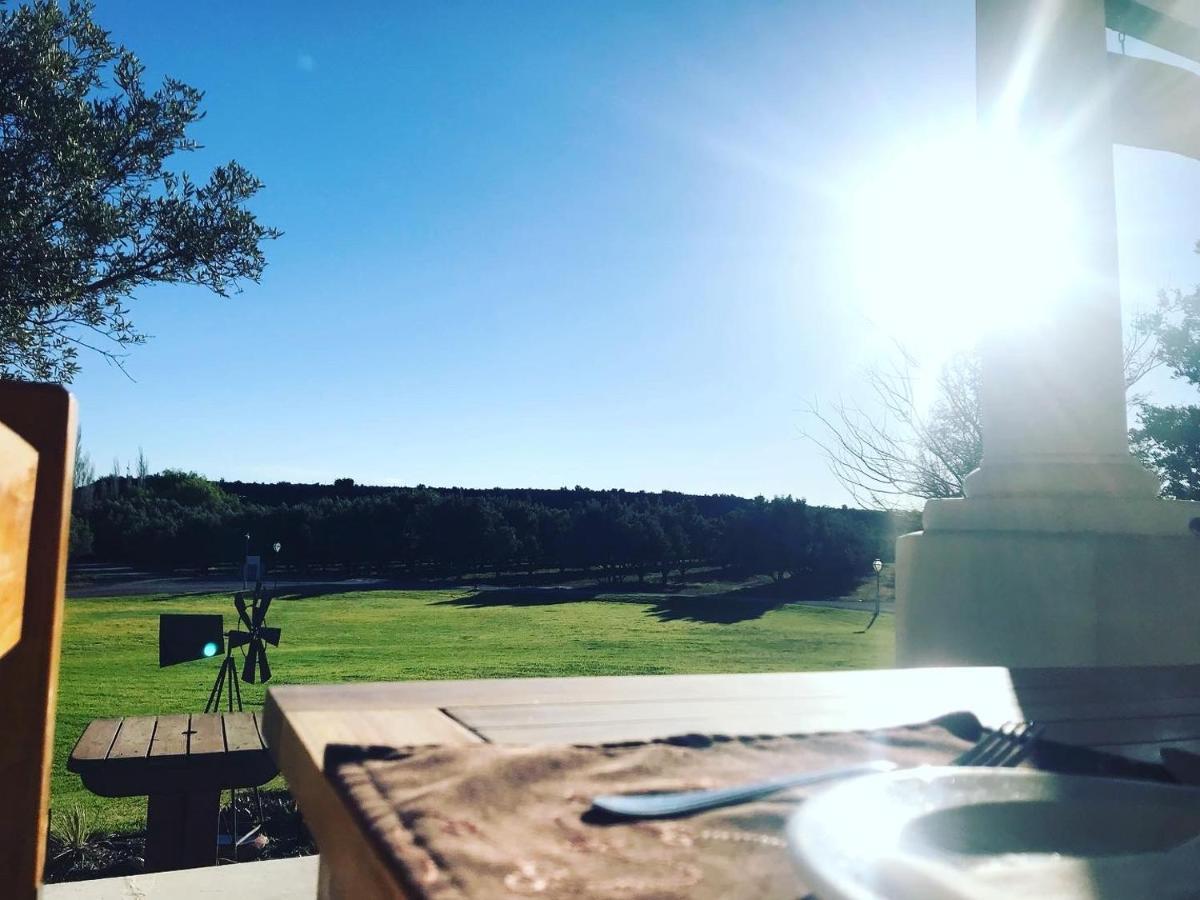 הוילה בופורט ווסט Olive Grove Guest Farm מראה חיצוני תמונה